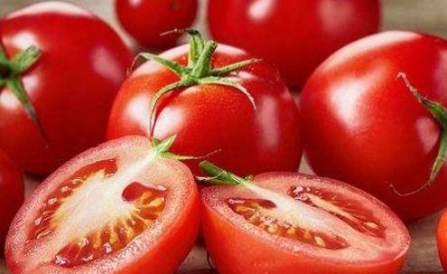 娱乐吃瓜酱西红柿,西红柿的瓜界传奇